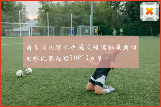 南京羽毛球队夺冠之路揭秘最新羽毛球比赛经验TOP10分享