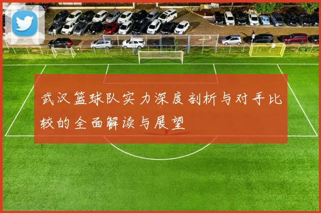 武汉篮球队实力深度剖析与对手比较的全面解读与展望