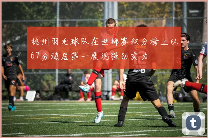 杭州羽毛球队在世锦赛积分榜上以67分稳居第一展现强劲实力