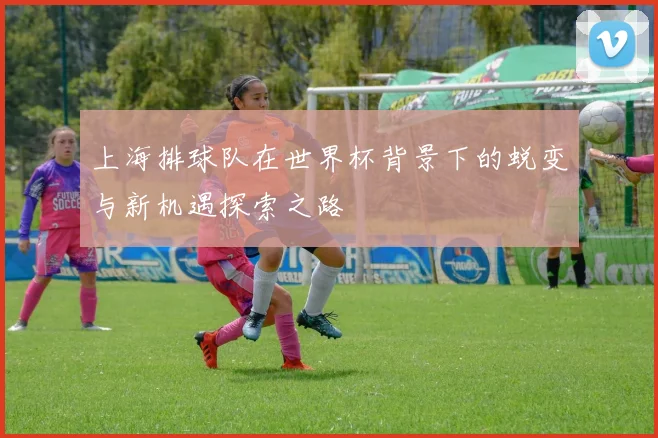 上海排球队在世界杯背景下的蜕变与新机遇探索之路