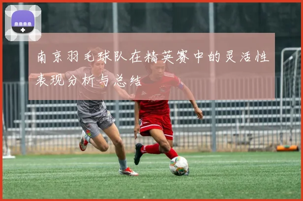 南京羽毛球队在精英赛中的灵活性表现分析与总结