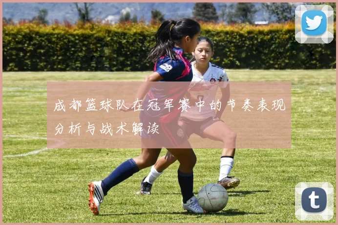 成都篮球队在冠军赛中的节奏表现分析与战术解读