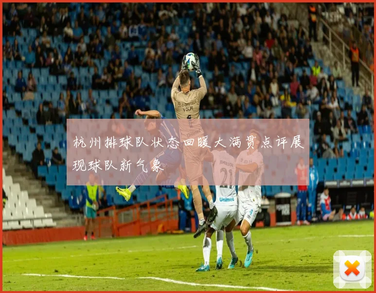 杭州排球队状态回暖大满贯点评展现球队新气象